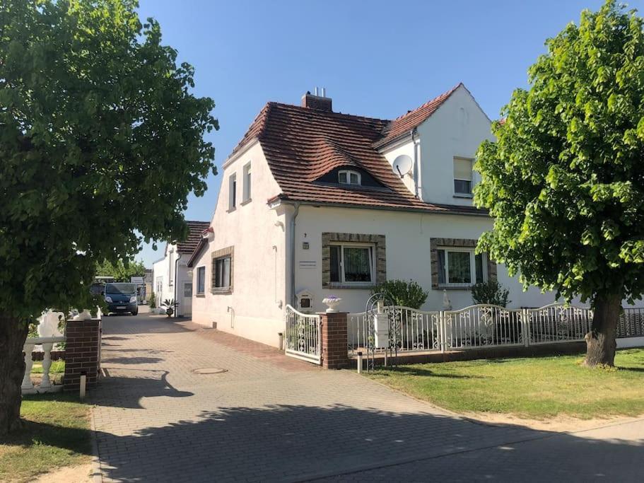 Cozy Unterkunft Im Spreewald Nahe Tropical Islands Apartment Golssen Exterior photo